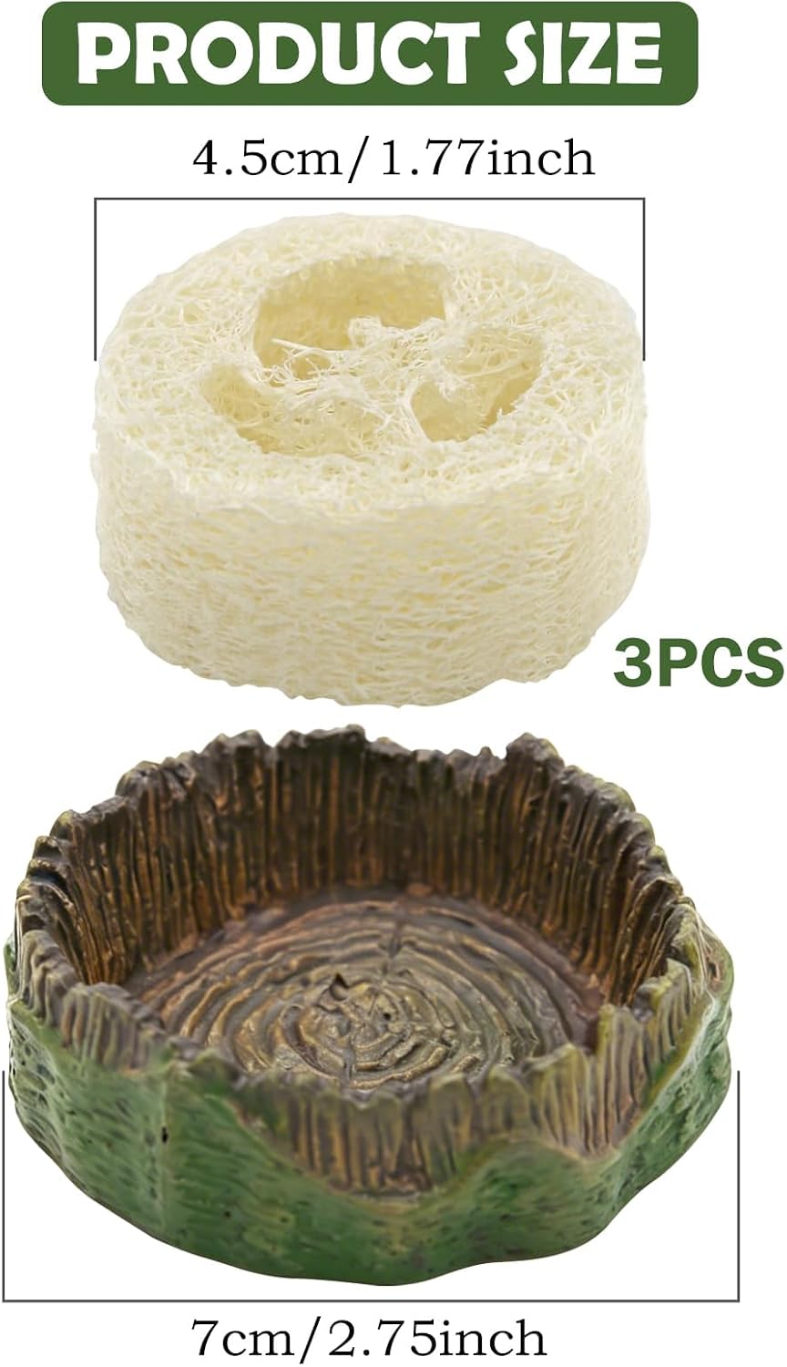 Four piece roach feeding dish set with luffa sponges