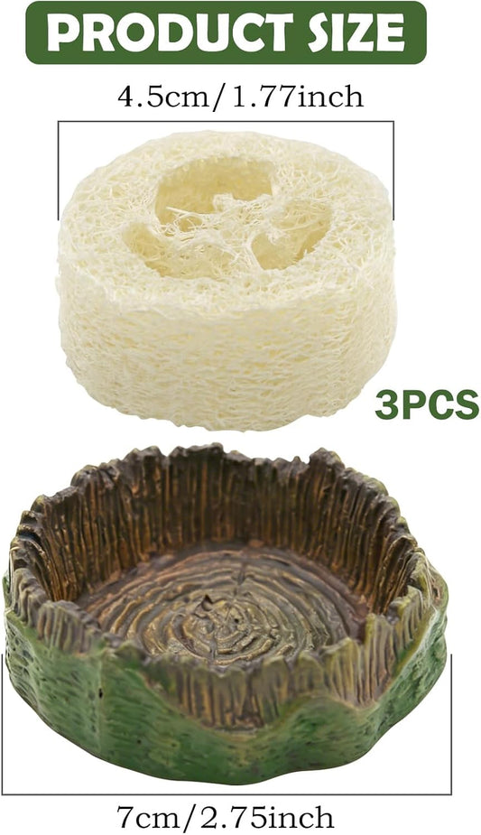 Four piece roach feeding dish set with luffa sponges