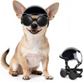 Petleso extra small dog goggles and helmet set front view