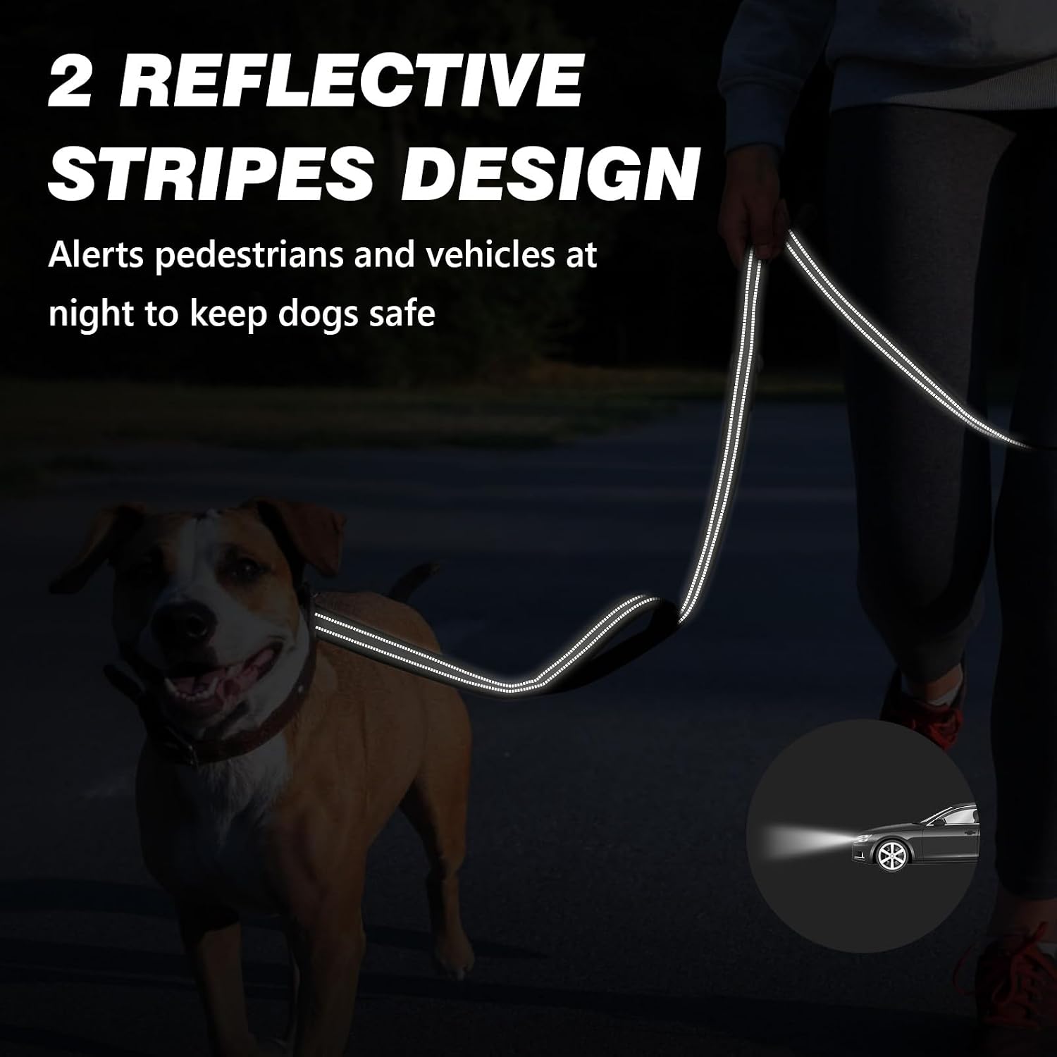 WINGOIN 6 foot dog lead showcasing the heavy duty 360 degree swivel metal carabiner
