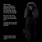 Smith and Burton hydrating pet cologne and leave in detangler spray for grooming