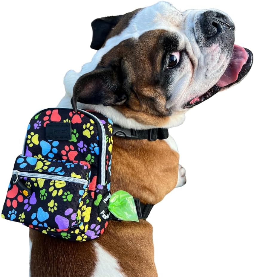 PawLook dog backpack harness in pawsup orange front view on a pet