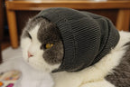 Small grey pet soothing hoodie for grooming sessions
