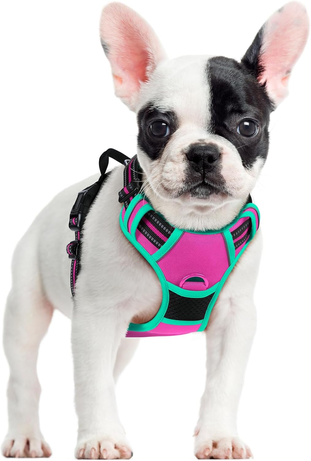 rabbitgoo Dog Harness No Pull with 2 Leash Clips, Adjustable Soft Padded, Reflective Oxford No Choke Pet Vest with Easy Control Handle for Large Dogs, Black, L - Image 13