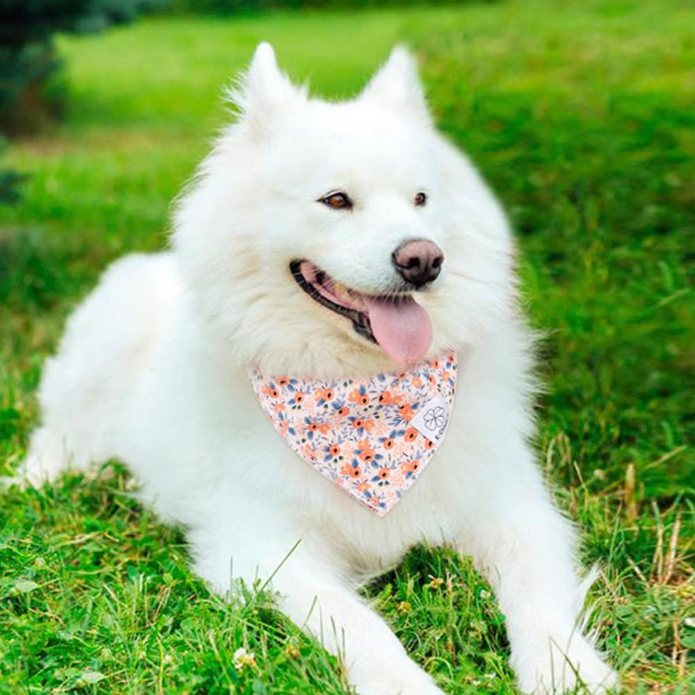 Close up of durable machine washable dog drool bib with flower pattern