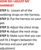 Full combo set of Voyager harness and leash for dogs