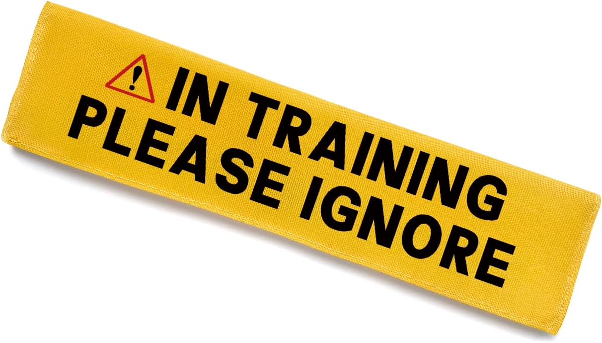 Nervous Please Give Me Space Leash Sleeve, Funny Yellow Dog Leash Wrap Alert Hanging ID Patch Tag, Do Not Pet Patch, Pet Birthday Gifts for Dog Lovers Owners - Image 9