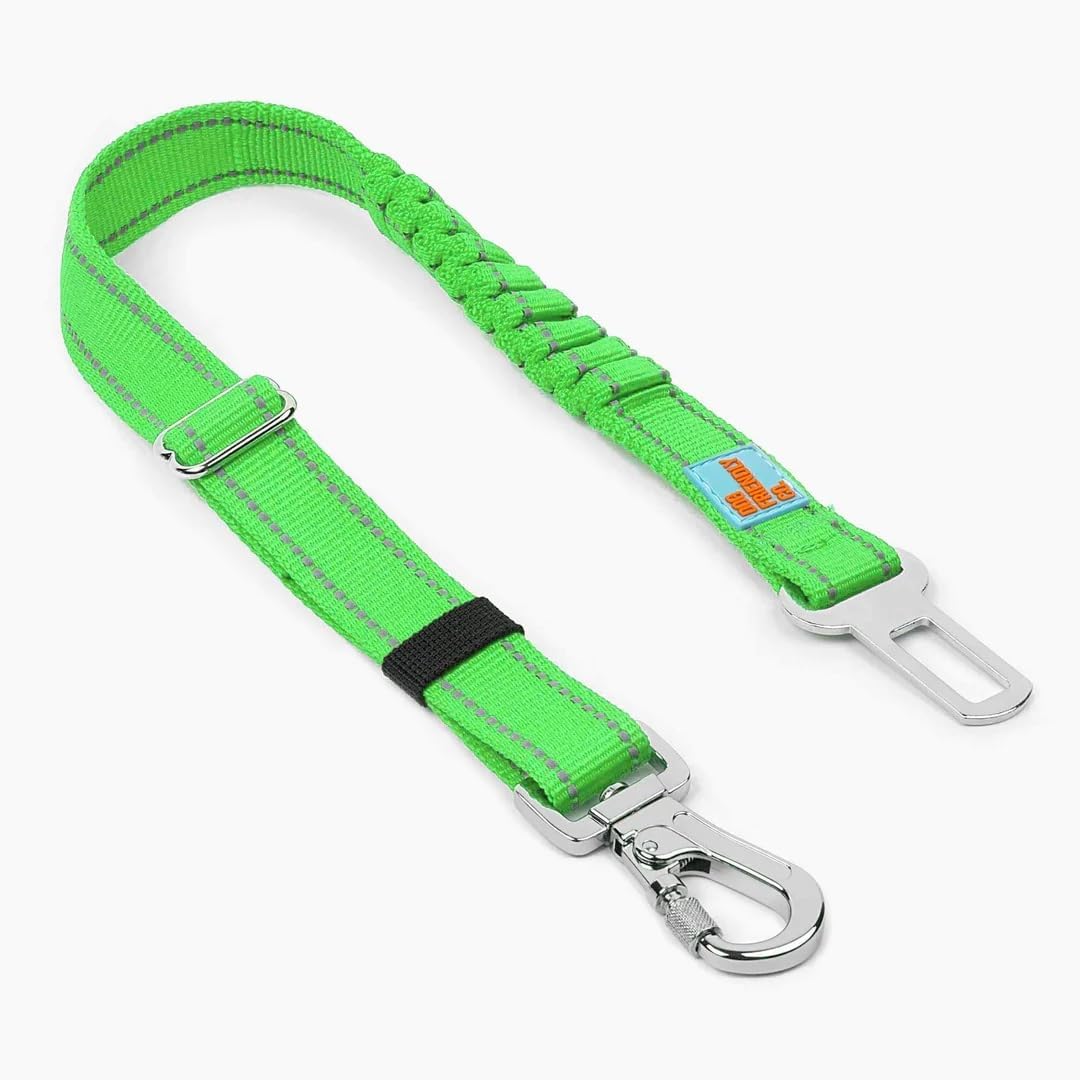 Dog seat belt attached to car buckle showing secure connection