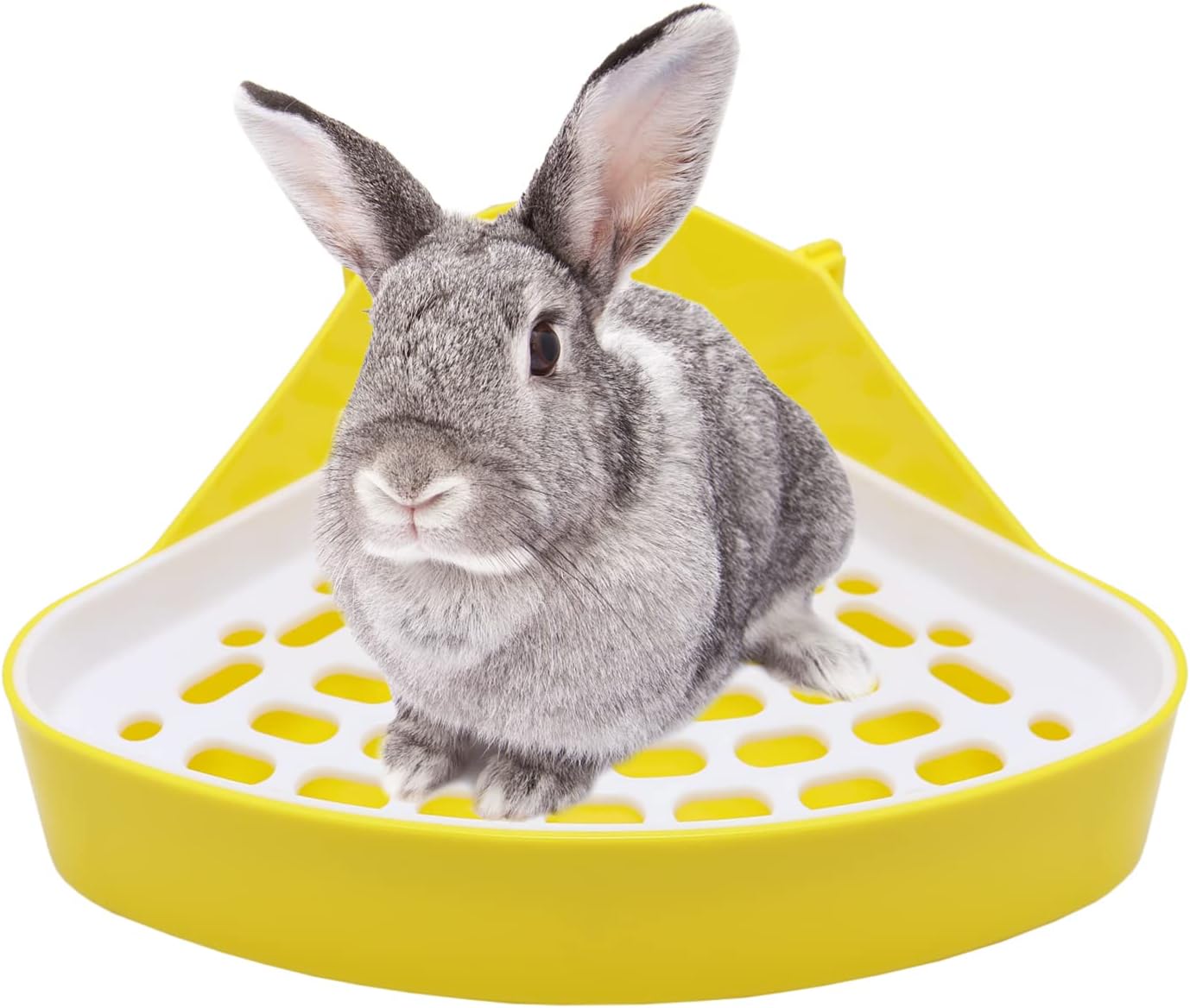 Litewoo Rabbit Litter Box Toilet Bunny Corner Litter Pan Pet Toilet Potty for Guinea Pigs Hamster Chinchilla Ferret Rabbit Small Animal (Blue) - Image 9