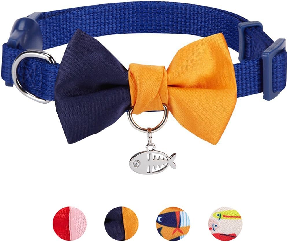 Lifestyle angle of Blueberry Pet cat collar for cats and kittens