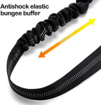 Small dog wearing harness connected to Anicy car safety leash