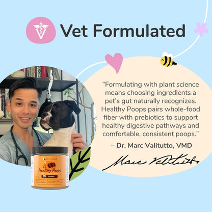 USDA organic pumpkin powder supplement for bowel regularity