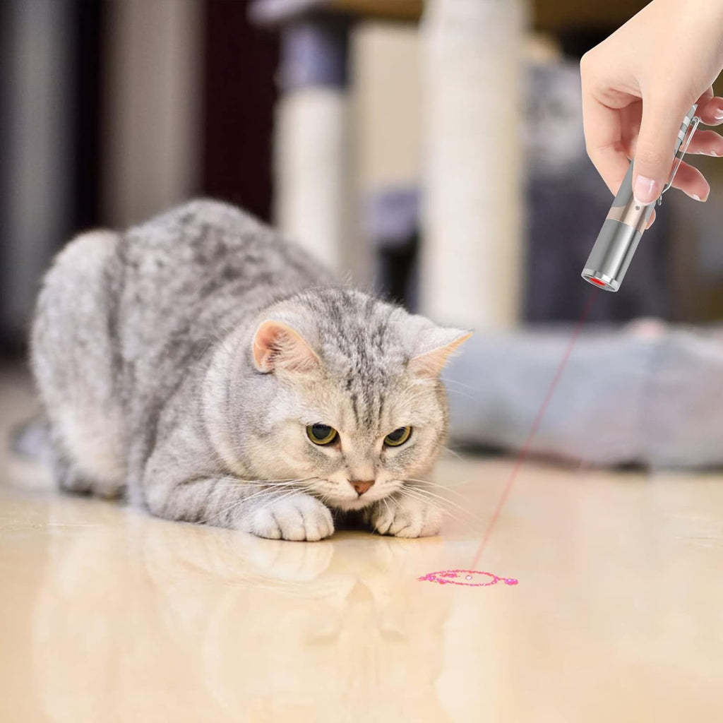 TBTeek rechargeable pet chaser pen projecting a red mouse pattern on the floor