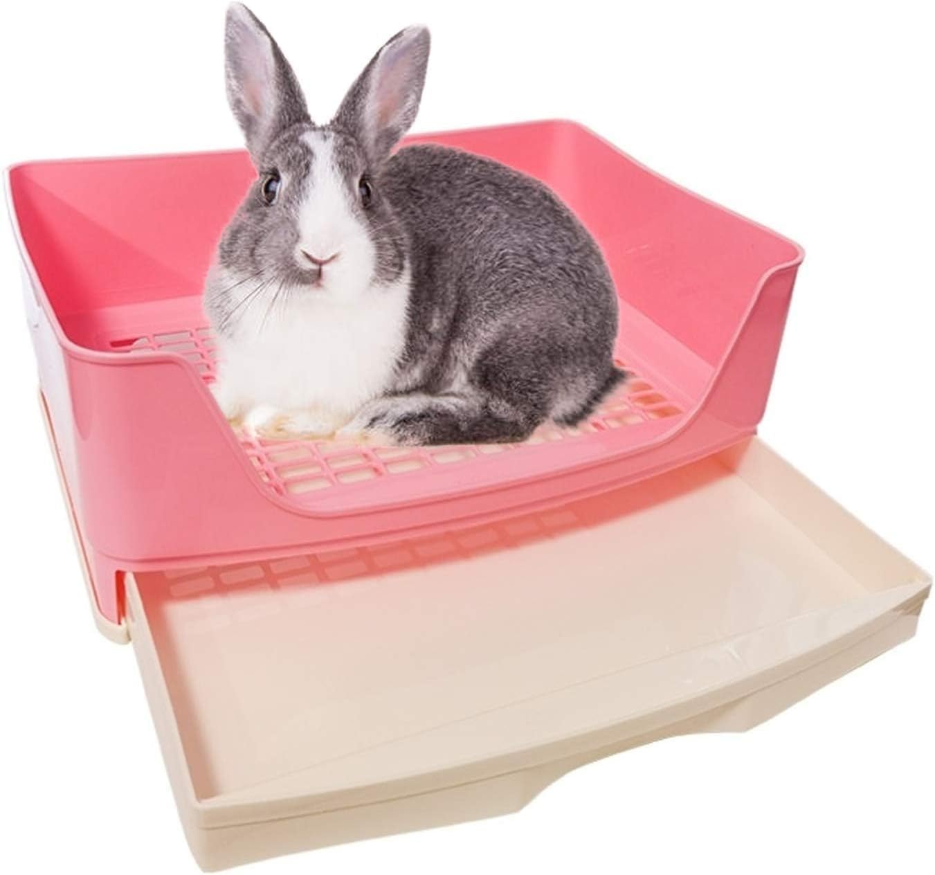 Interior view of Kathson large pet corner toilet