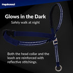 Durable padded handle on PupSensei leash