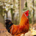 Miniature farm animal straw helmets close up details