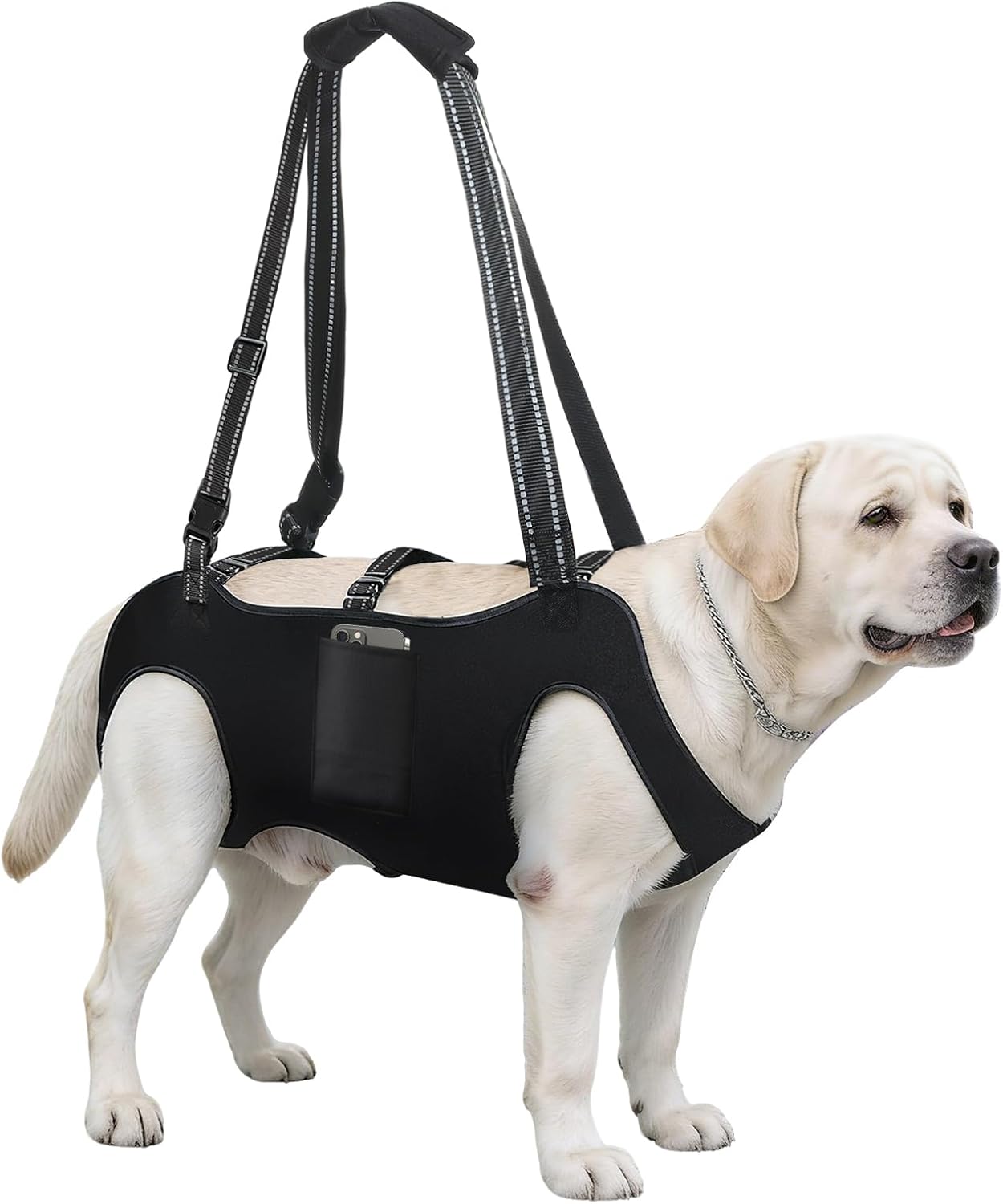 Dog Lift Harness with Pocket Full Body Dog Harness with Adjustable Handle Dog Carrying Sling Pet Legs Support Sling for Senior Dogs Joint Injuries Post Surgery Recovery Hiking,Black,XL - Image 1