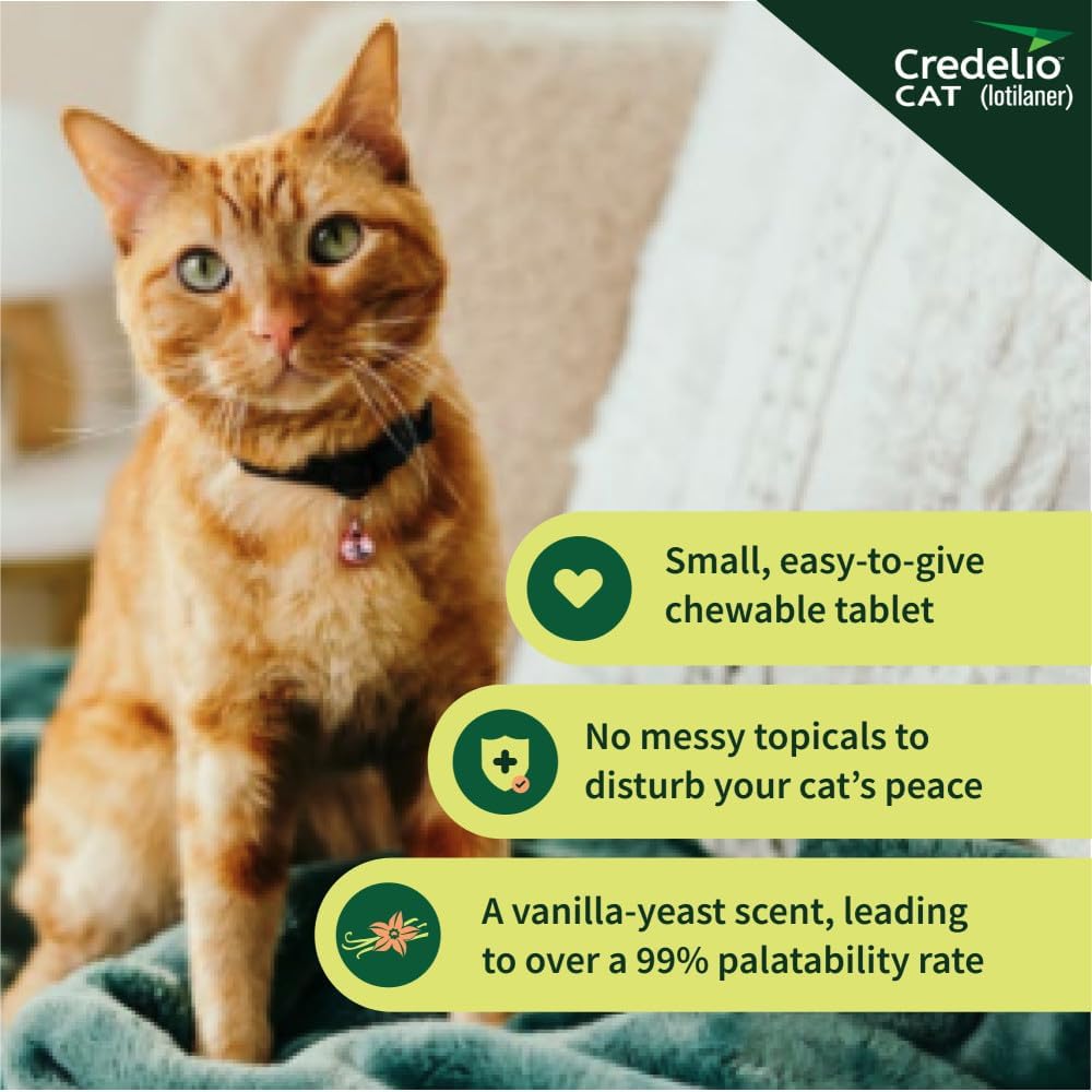 Credelio CAT Flea & Tick Infestation Prevention and Treatment for Cats 4.1-17 lbs. | 1-Month Supply - Image 10
