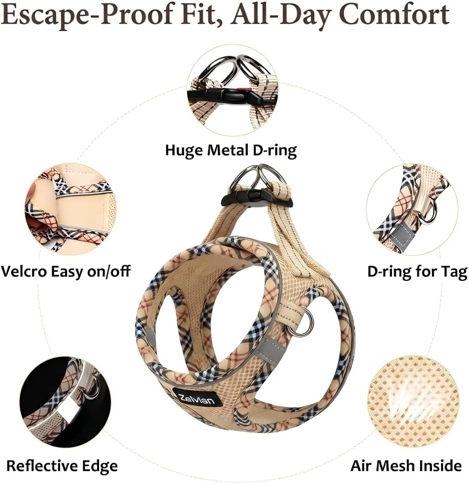 Breathable air mesh cat walking vest with dual metal D rings