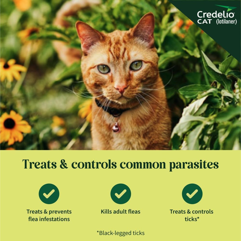 Authentic Credelio monthly flea treatment for cats