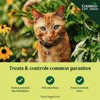 Authentic Credelio monthly flea treatment for cats