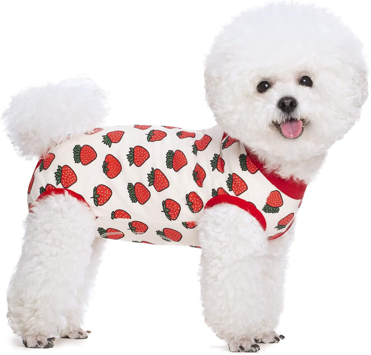 Miaododo post surgery bodysuit alternative to dog e-collar cone