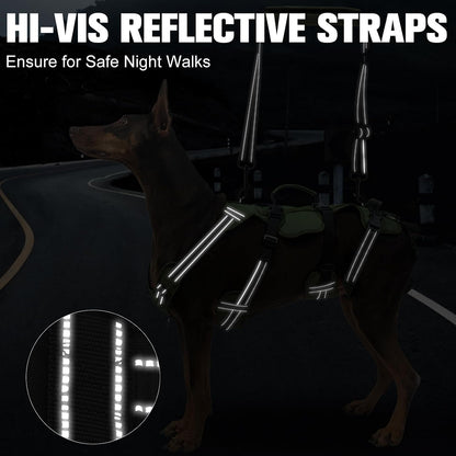 Bingpet dog lift harness showing back support handles