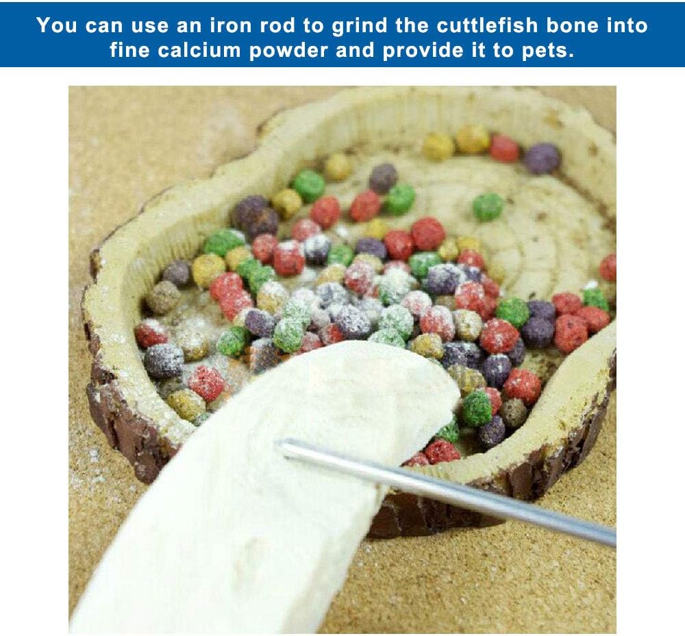 Natural cuttlebone supplement arranged for pet bird and parakeet care