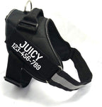 Custom No Pull Dog Harness with Name and Phone Number, Heavy Duty Personalized Pet Vest to Prevent Tugging, Pulling, or Choking, Training and Walking (Pink, S (10-19LBS)) - Image 15
