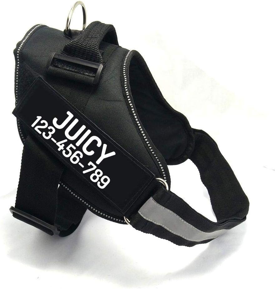 Custom No Pull Dog Harness with Name and Phone Number, Heavy Duty Personalized Pet Vest to Prevent Tugging, Pulling, or Choking, Training and Walking (Pink, S (10-19LBS)) - Image 15