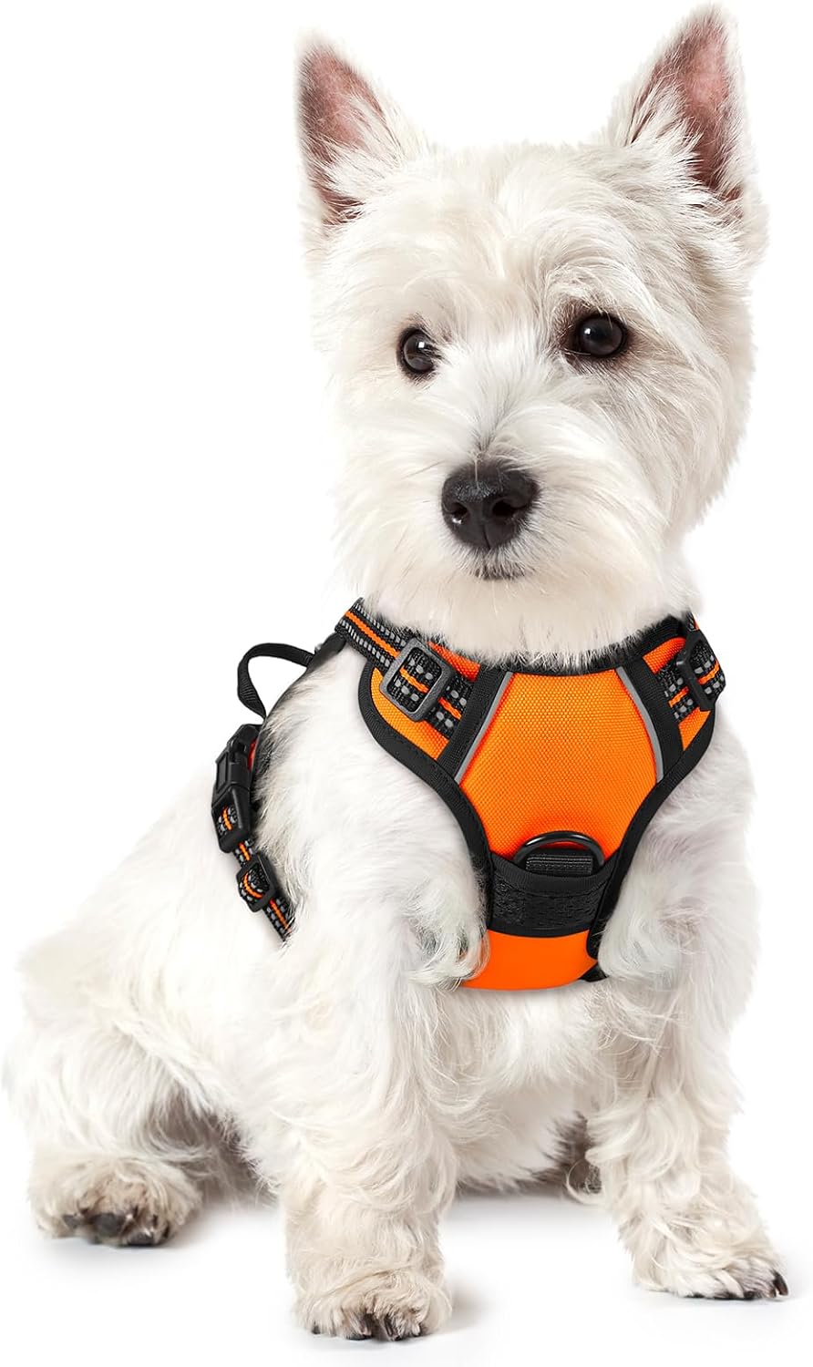 rabbitgoo Dog Harness No Pull with 2 Leash Clips, Adjustable Soft Padded, Reflective Oxford No Choke Pet Vest with Easy Control Handle for Large Dogs, Black, L - Image 10