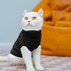 PUPTECK classic twisted pattern doggie sweater back design details