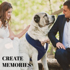 AVERYDAY brand authentic imported dog tuxedo packaging and premium accessories laid flat