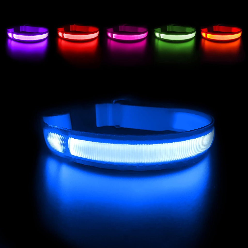 Masbrill LED dog collar front view in bright blue color