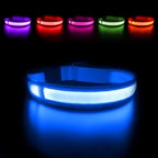 Masbrill LED dog collar front view in bright blue color