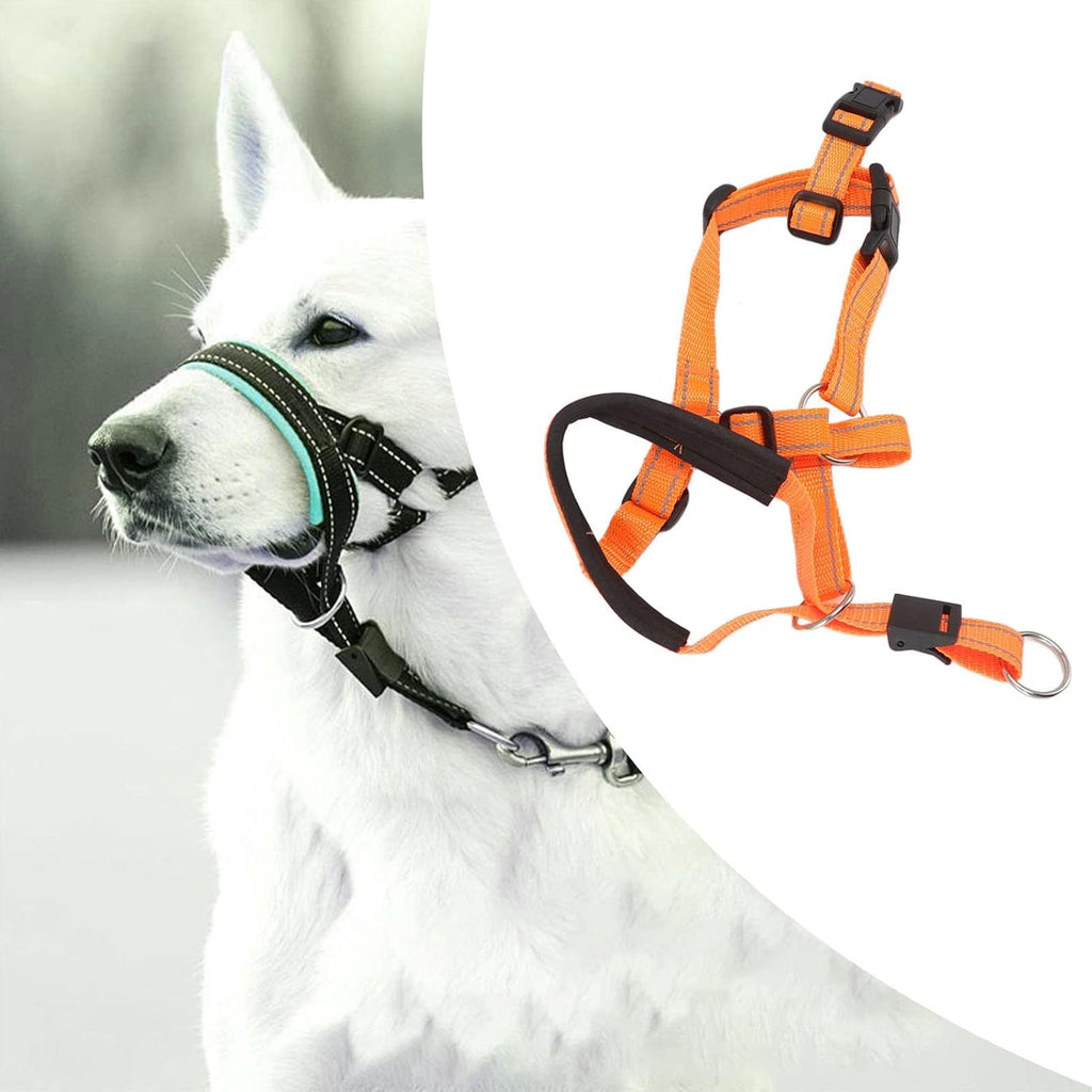 TOPINCN no pull head halter with durable metal buckle close up