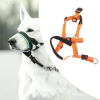 TOPINCN no pull head halter with durable metal buckle close up