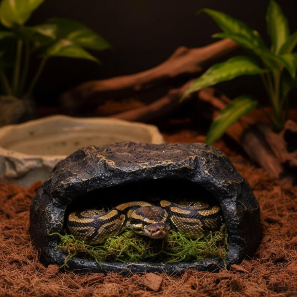 Zoo Med all natural reptile moss substrate close up texture