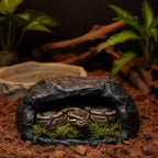 Zoo Med all natural reptile moss substrate close up texture