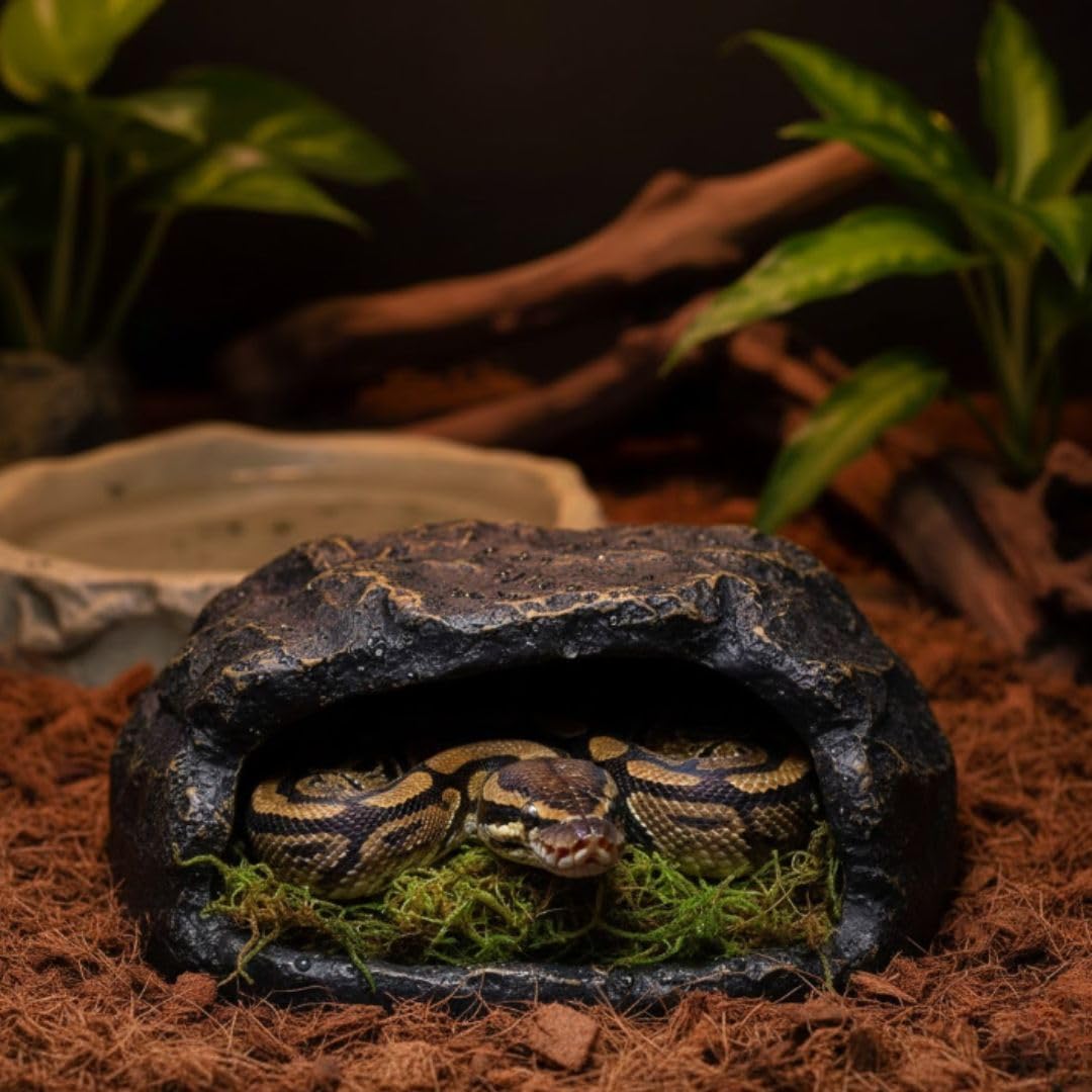 Zoo Med all natural reptile moss substrate close up texture