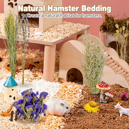 Fhiny Natural Hamster Bedding, Flower & Herb Hamster Bedding Mate Hamster Sprays Gerbil Habitat Decor Accessories for Dwarf Syrian Hamster Gerbil Mice Mouse Degus Lemming or Other Small Pets - Image 6