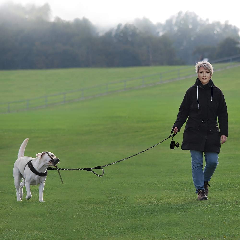 Reflective stitching on Plutus Pet black rope leash