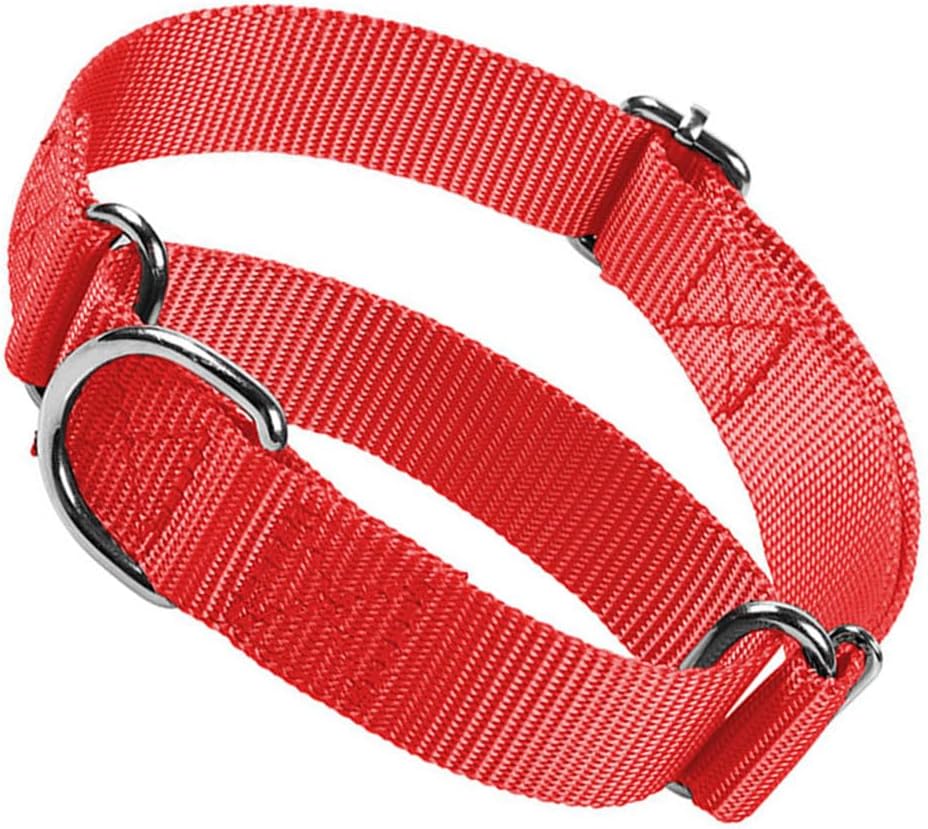 Martingale loop mechanism on Hotlion black dog collar