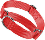 Martingale loop mechanism on Hotlion black dog collar