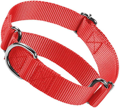 Martingale loop mechanism on Hotlion black dog collar