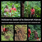 Coral Sea Kava premium instant vegan gluten free supplement pouch
