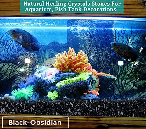 Small fish tank decorated with black obsidian gravel