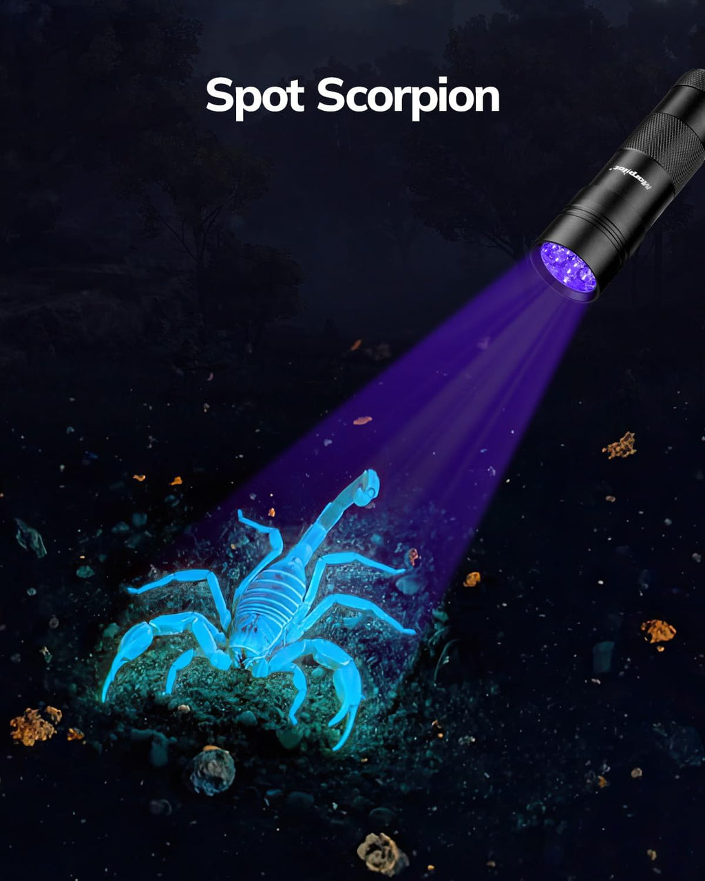 Morpilot 395nm mini blacklight showing currency verification details