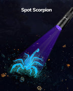 Morpilot 395nm mini blacklight showing currency verification details