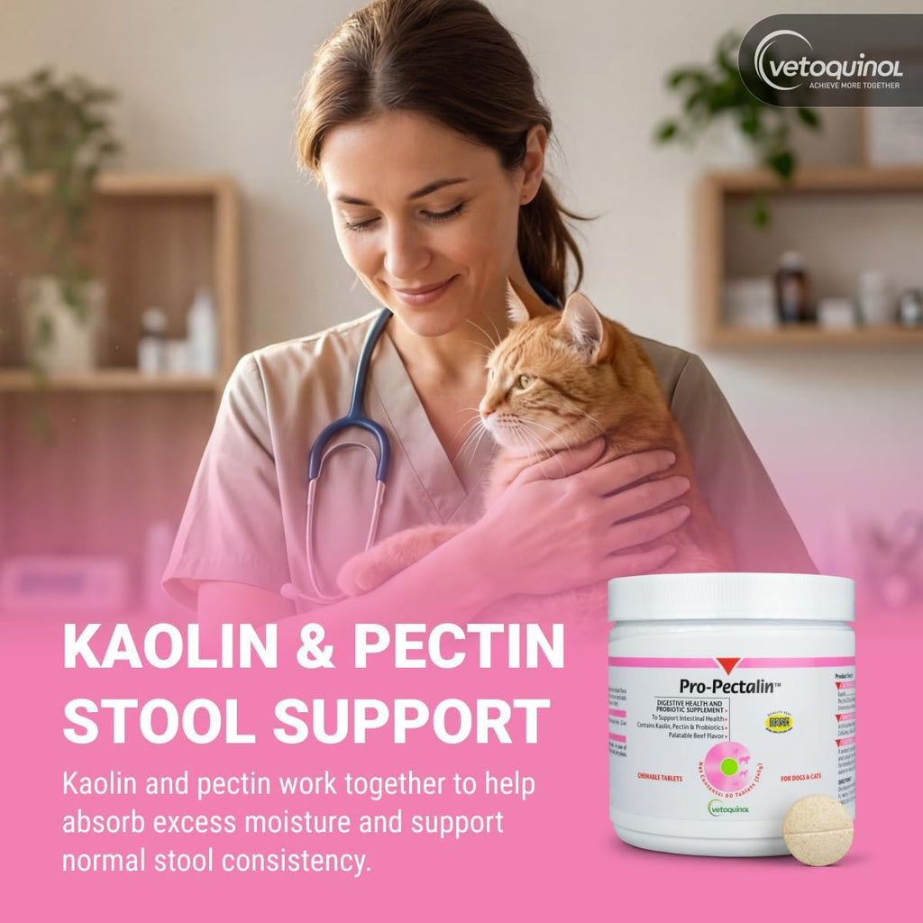 Vetoquinol Pro-Pectalin 60 count bottle for intestinal health
